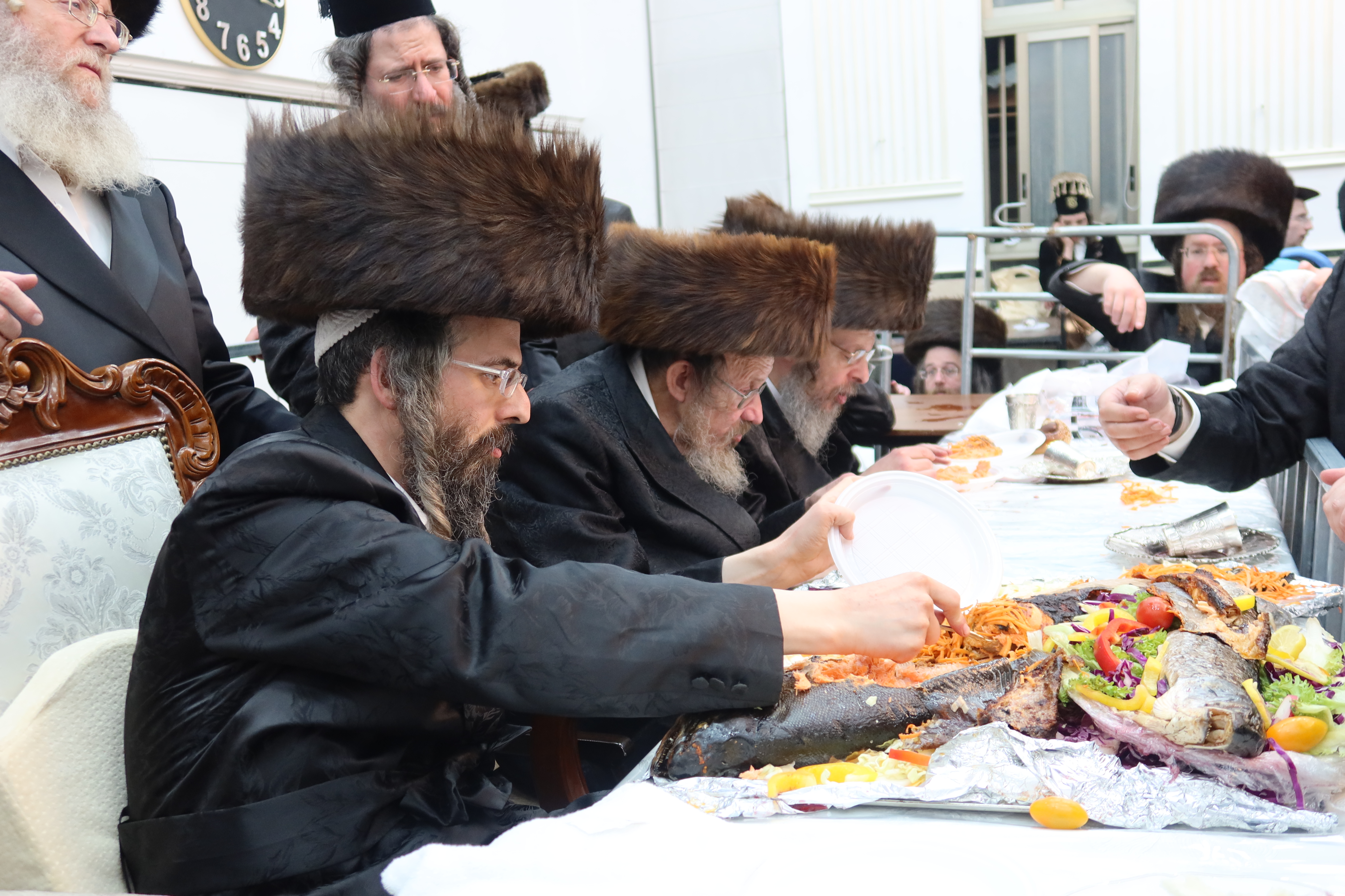 פורים זוויעהל, צילום שימי פ (19) פורים זוויעהל, צילום שימי פ (19)