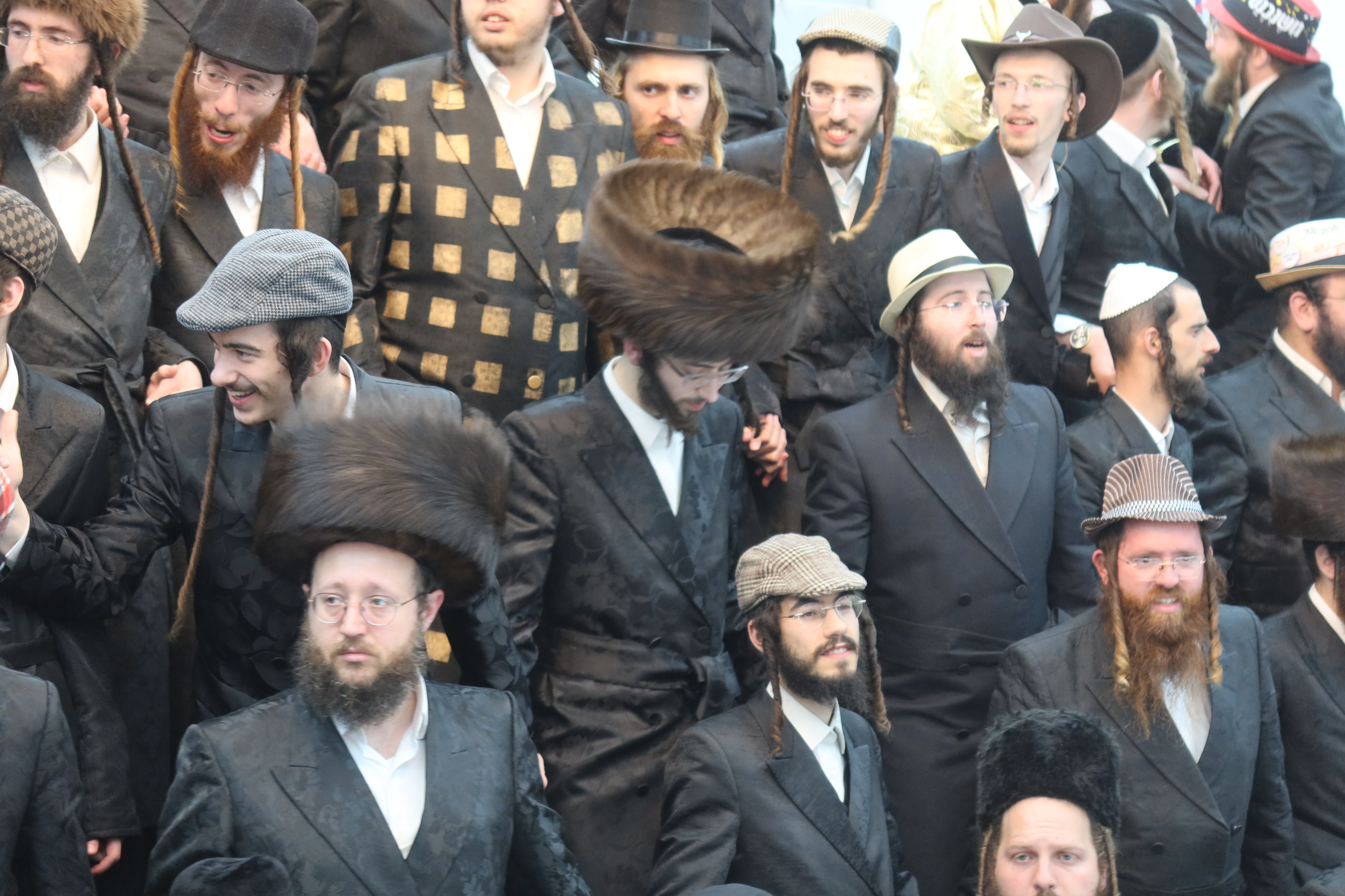פורים זוויעהל, צילום שימי פ (6) פורים זוויעהל, צילום שימי פ (6)