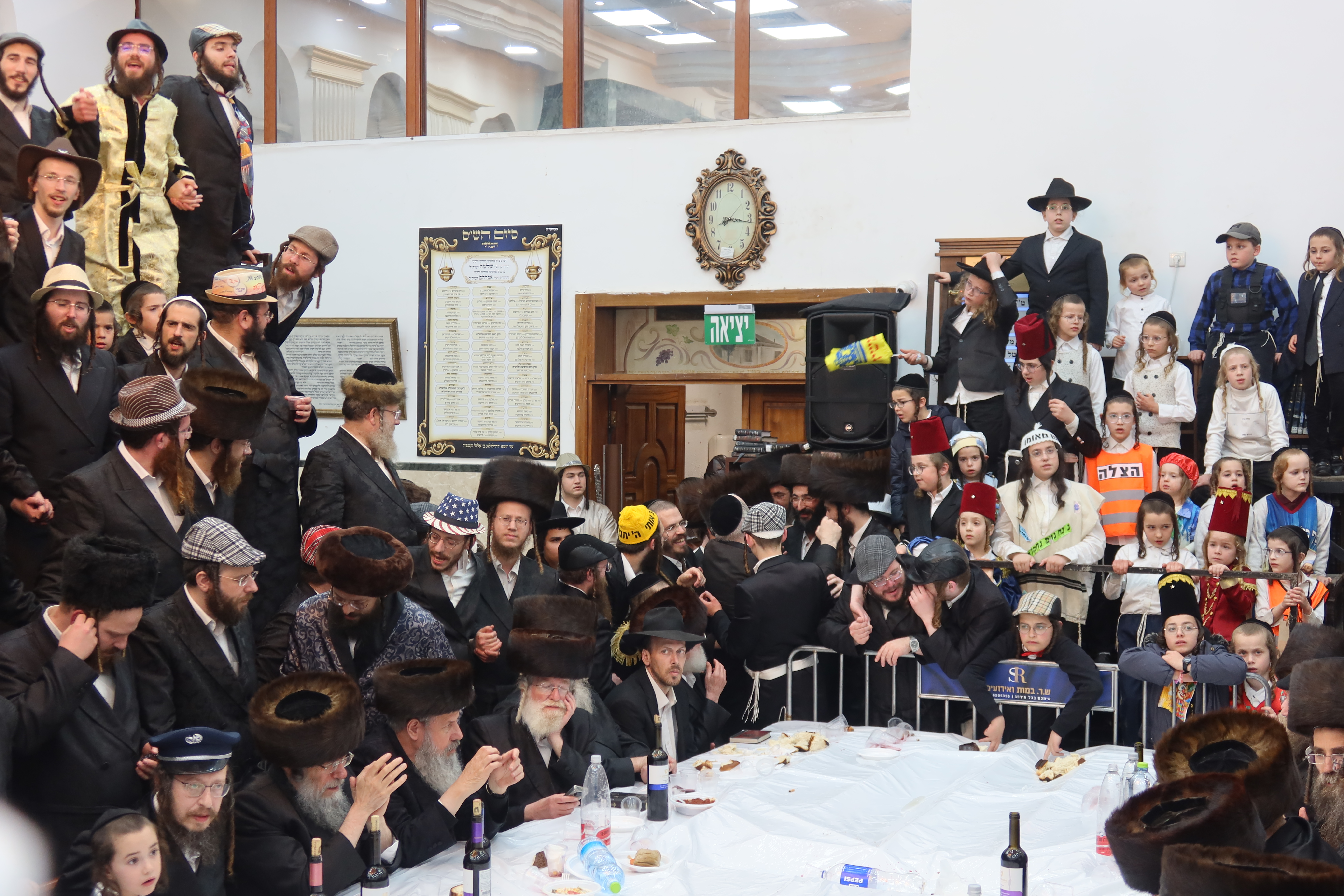 פורים זוויעהל, צילום שימי פ (7) פורים זוויעהל, צילום שימי פ (7)
