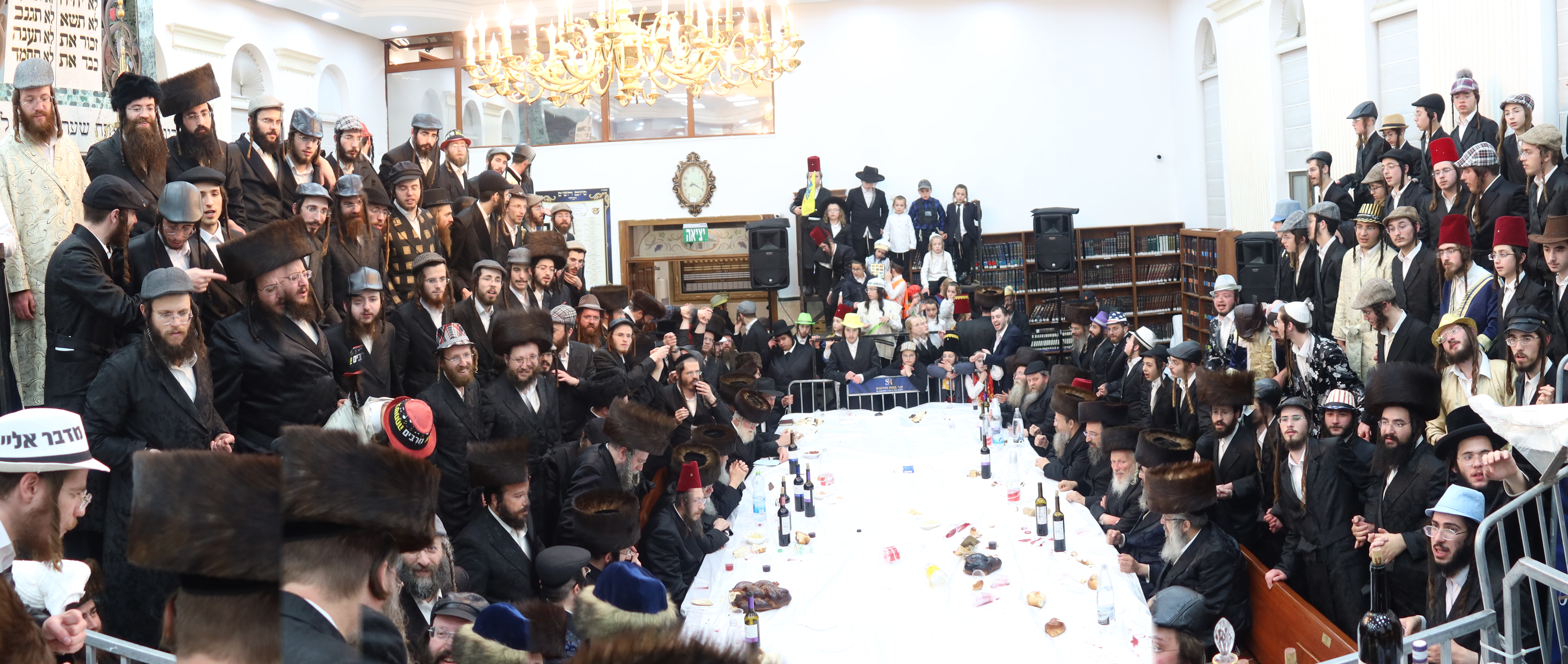 פורים זוויעהל, צילום שימי פ (9) פורים זוויעהל, צילום שימי פ (9)